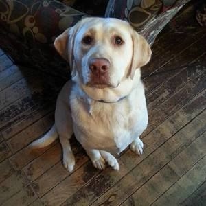 Meet your Posher, Meredith